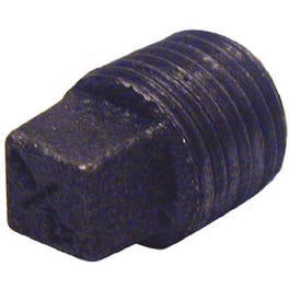 Black Plain Plug, 1-In.