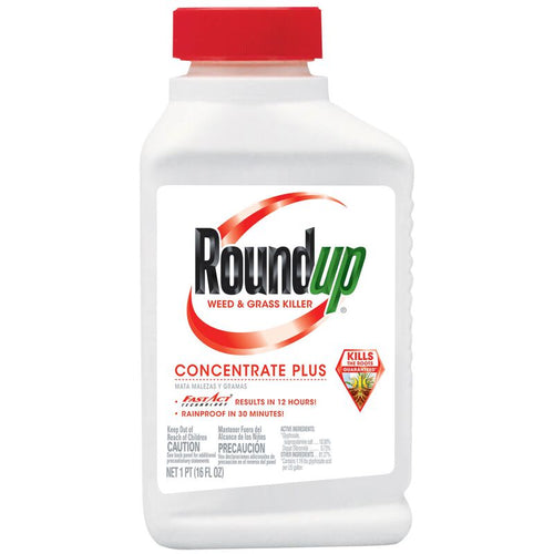 Roundup® Weed & Grass Killer₄ Concentrate