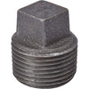 B&K 1/4 In. Malleable Black Iron Pipe Plug