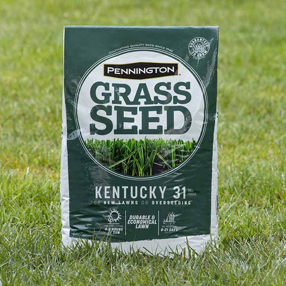 Pennington Kentucky 31 Tall Fescue Grass Seed 3 lbs